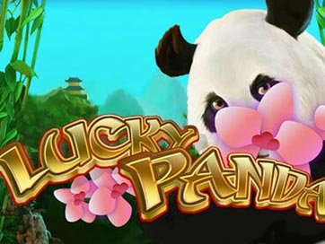 Lucky Panda
